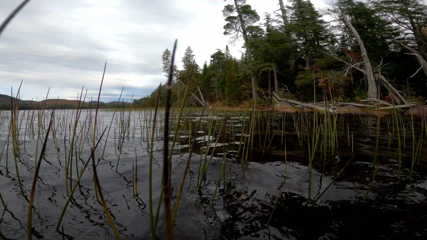 Lake Lila 247 Wilderness Canoe New York