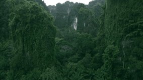 Aerial shot captures lush beauty of Thailand's jungles. Jungles teem with vibrant life testament to nature's splendor These jungles offer breathtaking escape into wilds of Thailand. - Powered by Shutterstock - Get 15% off with code: PIKWIZARD15