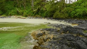 View of the shoreline at wild pacific trail in Ucluelet, Vancouver Island, BCÃƒÂƒÃ‚Â‚ÃƒÂ‚Ã‚Â , Canada.