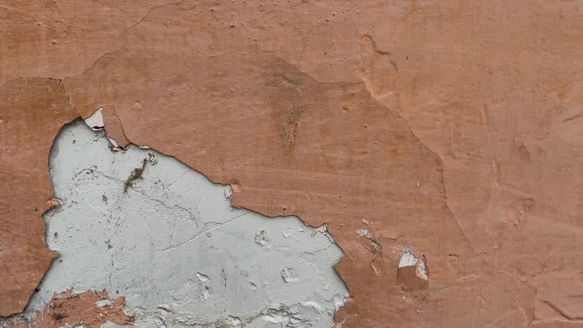 Peeling paint on the wall. Weathered rough painted surface with patterns of cracks and peeling. Wide panoramic grunge texture for background