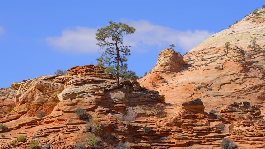 Establishing shot of mountains with red rocks in Zion Mount Carmel Highway, Zion National Park, Utah, North America. Day time. ProRes 422 HQ.