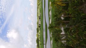 Vertical aerial drone video golf course 4k - Powered by Shutterstock - Get 15% off with code: PIKWIZARD15