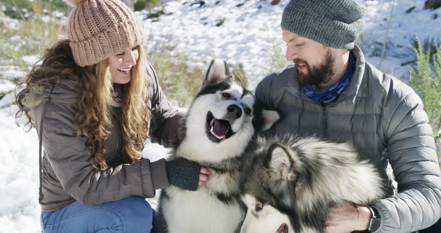 Couple, kiss and snow in winter, dogs and warm on mountain, love and holiday. Vacation, happiness and romance for adventure, outdoor and nature to explore, hobby and summit in iceland for fun