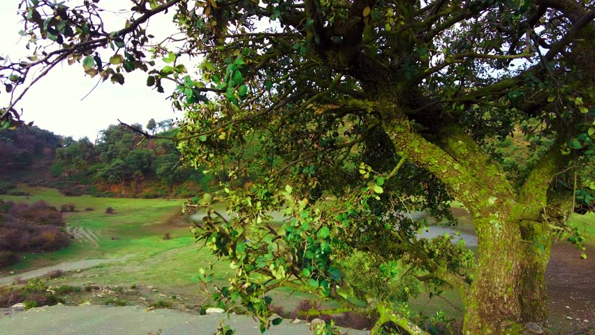 a pretty Tamezguida lake at the top of the Algerian Atlas mountain