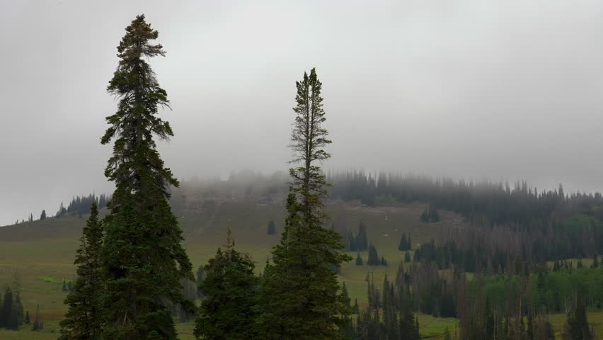 Clouds And Fog Moving Over The Mountain Hills And Trees. - timelapse