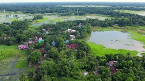 An Aerial Story of Hope and Resilience in a Green Wetland Village