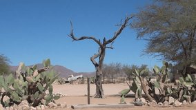 HD high quality video view of desert hamlet stopover on the way to red sand dunes area of Sossusvlei Namib Desert on sunny day in Namib-Naulkuft Park in Namibia, southern Africa