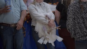 This close up video shows the arms of a handler holding a turkey in a competition.