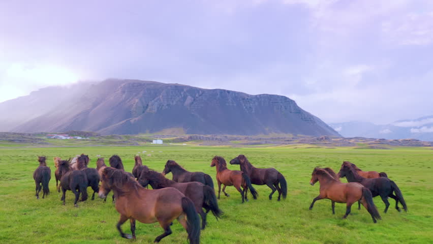 People with horses on the mountain image - Free stock photo - Public ...