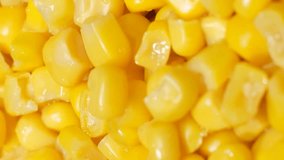 Boiled corn rotates in a circle. Corn background. Vertical video
