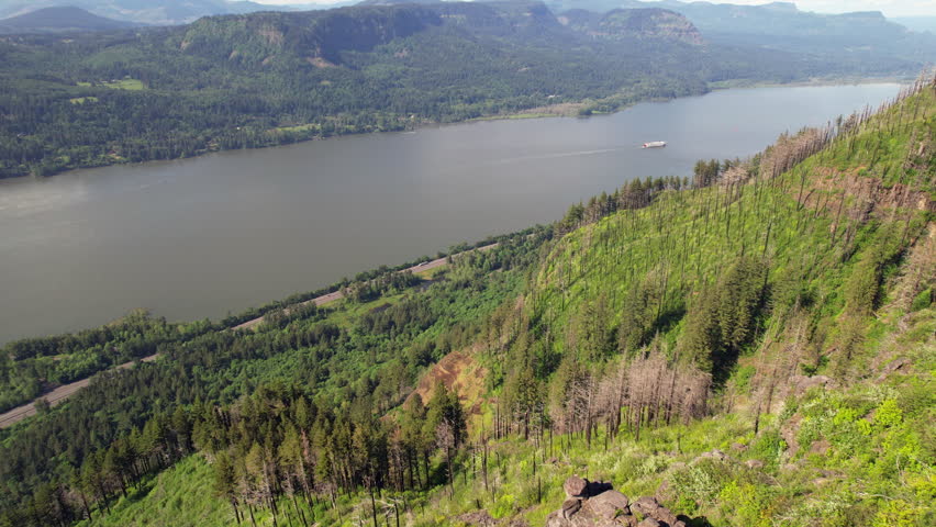 Drone video of trees and river in the Columbia river gorge