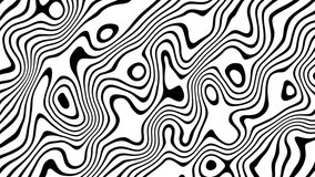 Video, motion graphics, introductory footage backgrounds, black and white lines, fluid, fluid, abstract