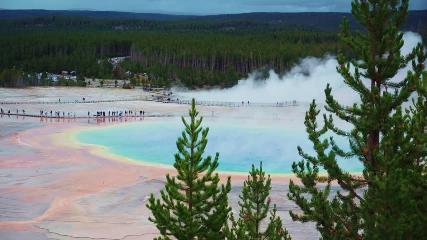 Grand Prismatic Spring Tree-line View