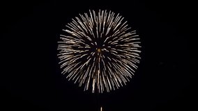 4K. loop seamless of real fireworks background. abstract blur of real golden shining fireworks with bokeh lights in the night sky. glowing fireworks show. New year's eve fireworks celebration - Powered by Shutterstock - Get 15% off with code: PIKWIZARD15