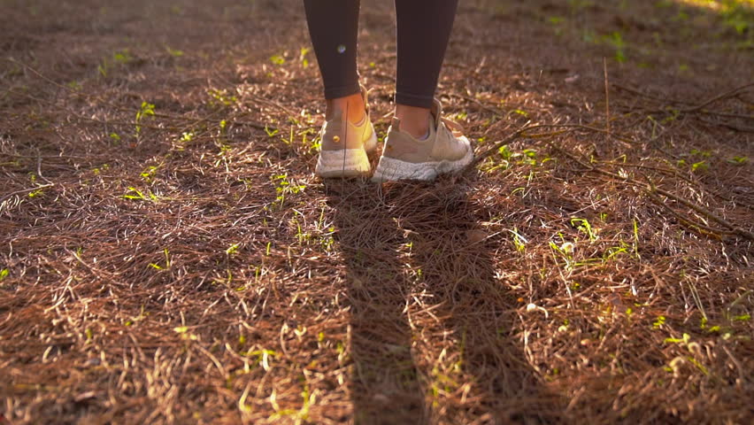 Girl in sneakers walking in the forest Rays of the Sun Royalty-Free Stock Footage #3406395015
