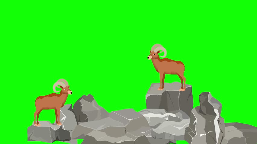 mountains  sheeps on mountains 2d cartoon animation green screen