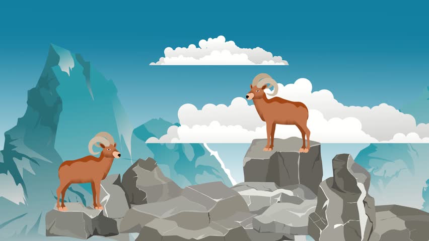 mountains goats sheeps on mountains 2d cartoon animation