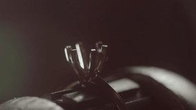 Jeweler Setting Precious Gemstone in Ring with Bright Illumination - Powered by Shutterstock - Get 15% off with code: PIKWIZARD15