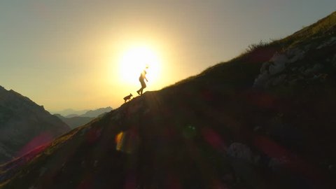 AERIAL SILHOUETTE: Camera flying along and over silhouettes of woman hiker and dog walking up a grassy hill in front of gorgeous golden scenery. Young female and puppy ascending a mountain at sunset.