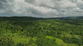 Aerial footage of a kind tropical forest in the phil.