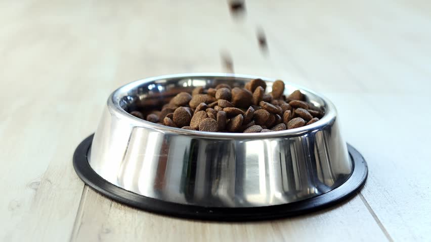 Dogs' Food Falls into Metal Plate. Dry Animal Feed Falls Into a Bowl. Dry Food for Puppies or Dogs is Poured into a Small Bowl. Pets feed. Balanced food, pet store