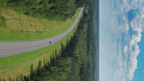 Aerial top view landscape with a country road in the forest at summer. Vertical video
