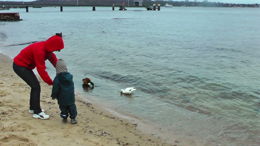 Mother and little boy on the beach feeding the ducks