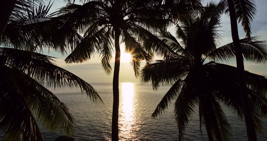 Silhouette coconut palm trees in beautiful sunset or sunrise sky over sea,Amazing light nature colorful clouds landscape,Beautiful light nature sky and clouds seascape,Sky clouds background
