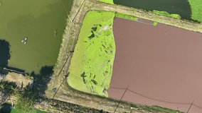 An overhead drone shot reveals the intricate network of settling tanks, aeration systems, and pipelines that make up the industrial wastewater treatment pond. Stock footage
