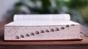 Flip the pages of an open book lit by the bright natural sunlight. reading education concept

 - Powered by Shutterstock - Get 15% off with code: PIKWIZARD15