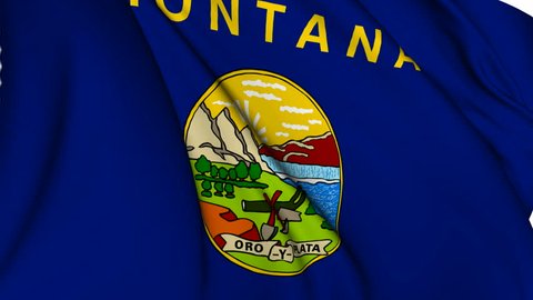 Montana flag USA state flag collection