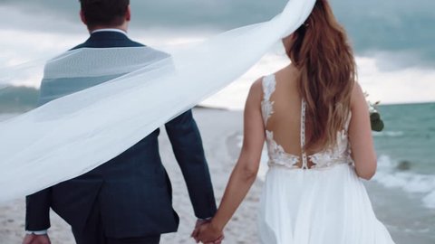 the bride and groom go in wedding dresses on a beautiful beach with their dogs. wedding on the sea Stock Video