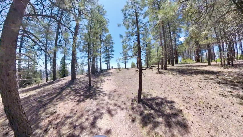 Hiking the Widforss Trail on the North Rim of the Grand Canyon