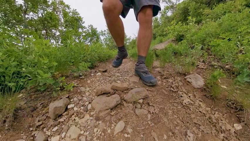 Mans Footsteps on Wildcat Trail in Zion