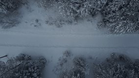 Top down of a road covered in snow in quebec, canada. Winter scenery of a forest