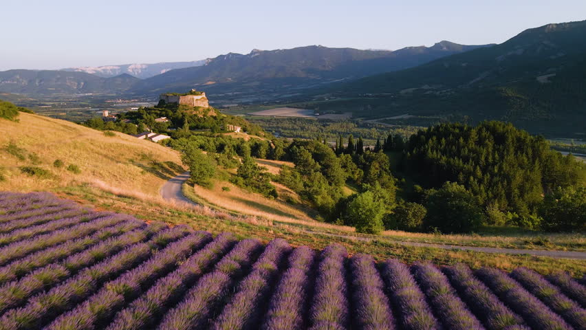 Aerial view at sunset of lavender field with the village of Mison in Provence. Summer in the countryside of Alpes-de-Haute-Provence (Alps), France