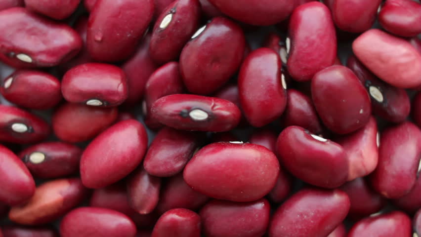 Red Kidney Beans Rotating 스톡 동영상 비디오(100% 로열티 프리) 34084687 | Shutterstock