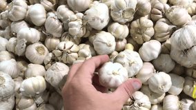 Fresh organic healthy garlic in the food market. Garlic vegetable. Close up 4K footage. Man hand choosing garlic.