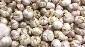 Fresh organic healthy garlic in the food market. Garlic vegetable. Close up 4K footage. Man hand choosing garlic.