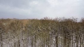 rays of sun on a snowy meadow, frost on the trees - Powered by Shutterstock - Get 15% off with code: PIKWIZARD15