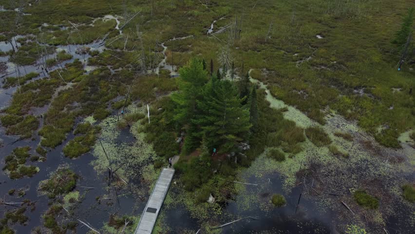 Flyover of an island situated in a marsh.