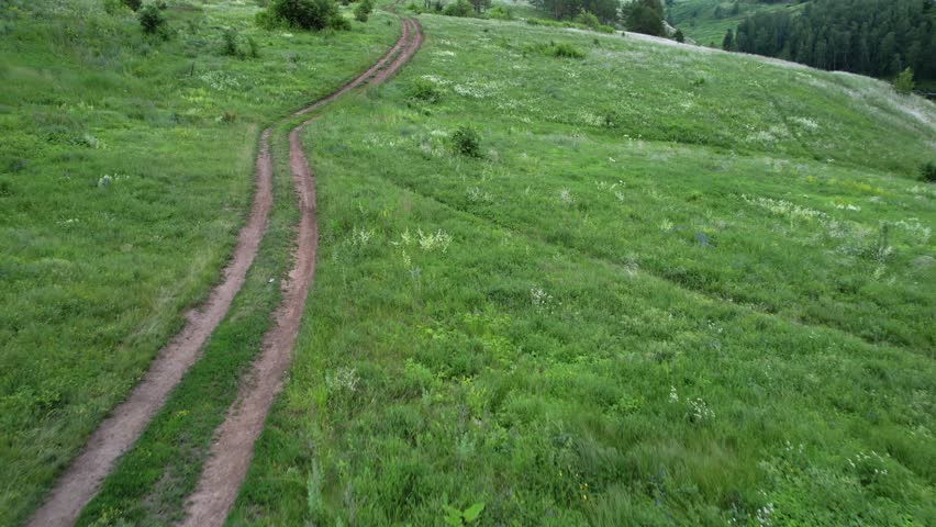 a view of the road that is laid in the green grass, a view from a flying drone.
