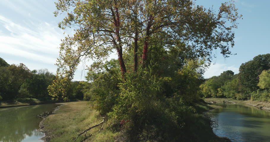 Tree With Dense Foliage In The River Creek Of Twin Bridges Park, Arkansas, United States. Aerial Drone Shot