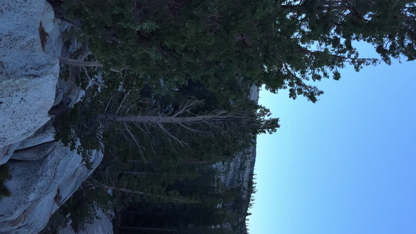 Vertical View Of Pine Trees And Half Dome Summit At Sunrise from Olmsted Point In Yosemite National Park, California. - pan right shot