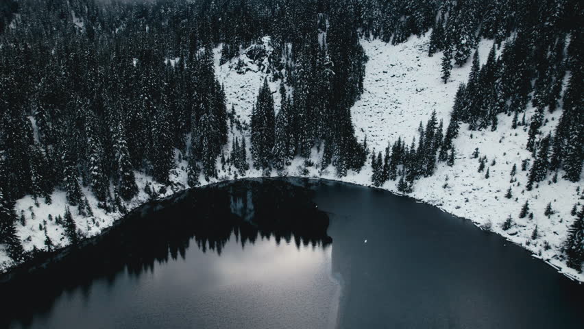 Mountain Lake Reflecting Trees Artistic Nature Aerial Background