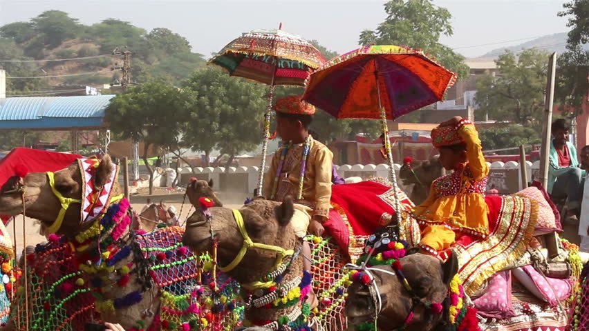 PUSHKAR, INDIA - NOVEMBER 22, 2012: Competition to decorate camels at fair in
