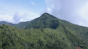 Aerial view of beautiful mountain landscape. Mountain covered by green trees of forest in sunny day. Mountain with green vegetation. Drone shot of Indonesia landscape