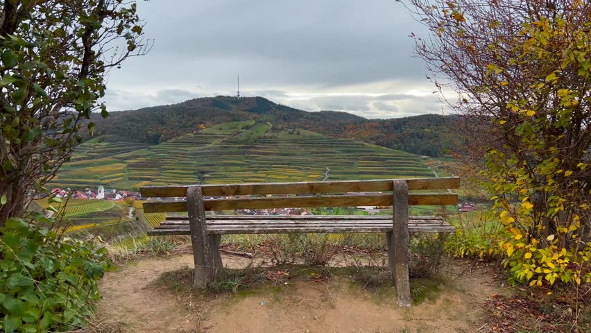 Valley vineyards for wine production grape terraces in autumn sunset. Southern Germany wine region. High quality 4k footage