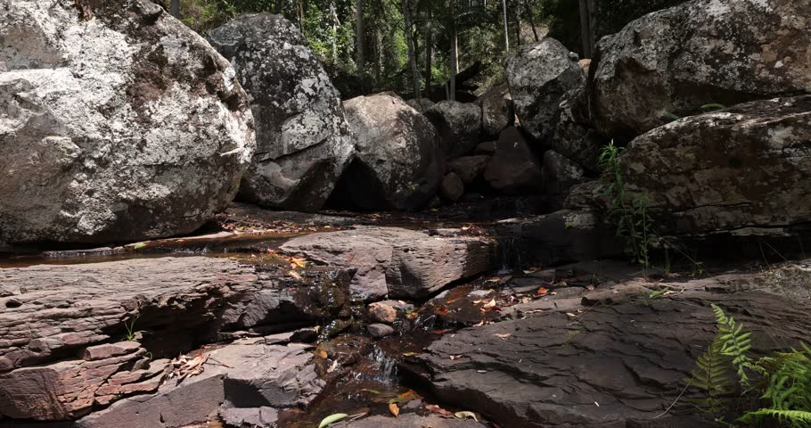 Scenic views of Cameron falls in Tamborine National Park in Queensland, Australia