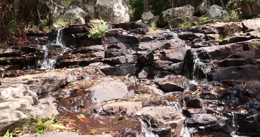 Scenic views of Cameron falls in Tamborine National Park in Queensland, Australia